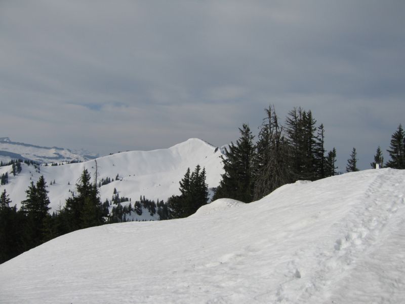 2009-04-12 Allgaeu (06) Riedberger Horn